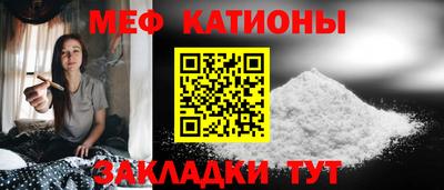 индика Новодвинск