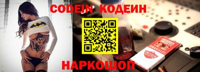 индика Новодвинск