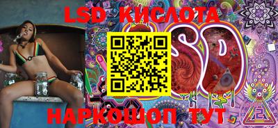 индика Новодвинск