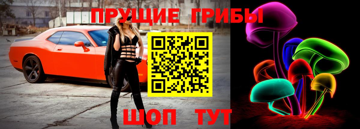 Псилоцибиновые грибы GOLDEN TEACHER  Вход с VPN  Ростов-на-Дону 